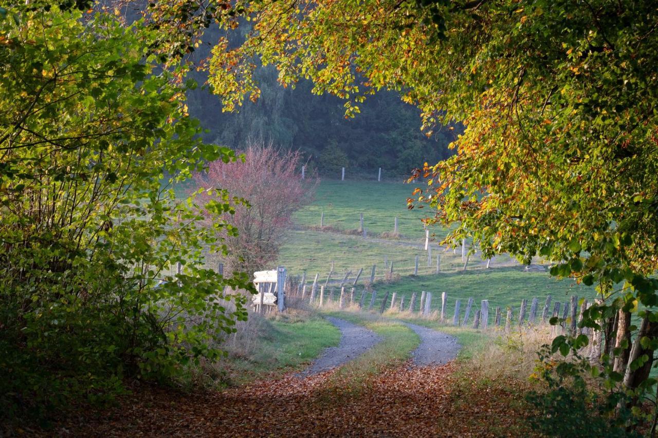 Ardenne Essentielle Bed and Breakfast Daverdisse Buitenkant foto